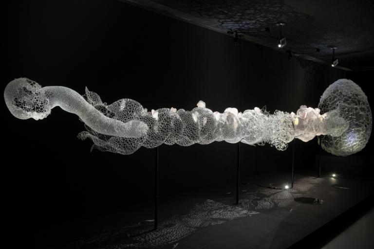 Installation artwork by Kim KototamaLune referencing an egg in the background and a head in the foreground connected with a long neck like construction in between